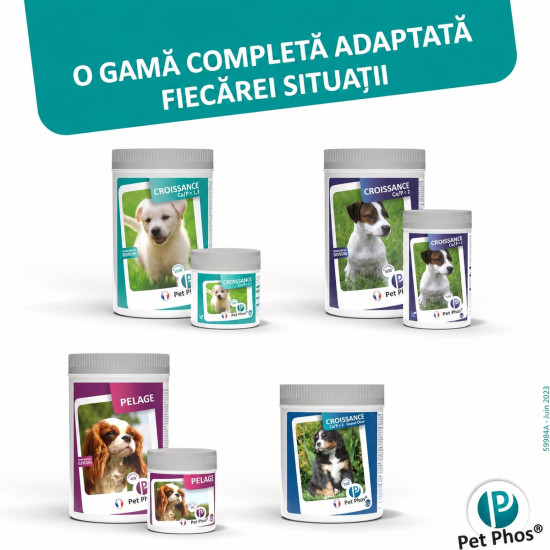 Pet Phos Croissance Junior Ceva – Supliment Vitamino-Mineral pentru Câini în Creștere – 100 Tablete